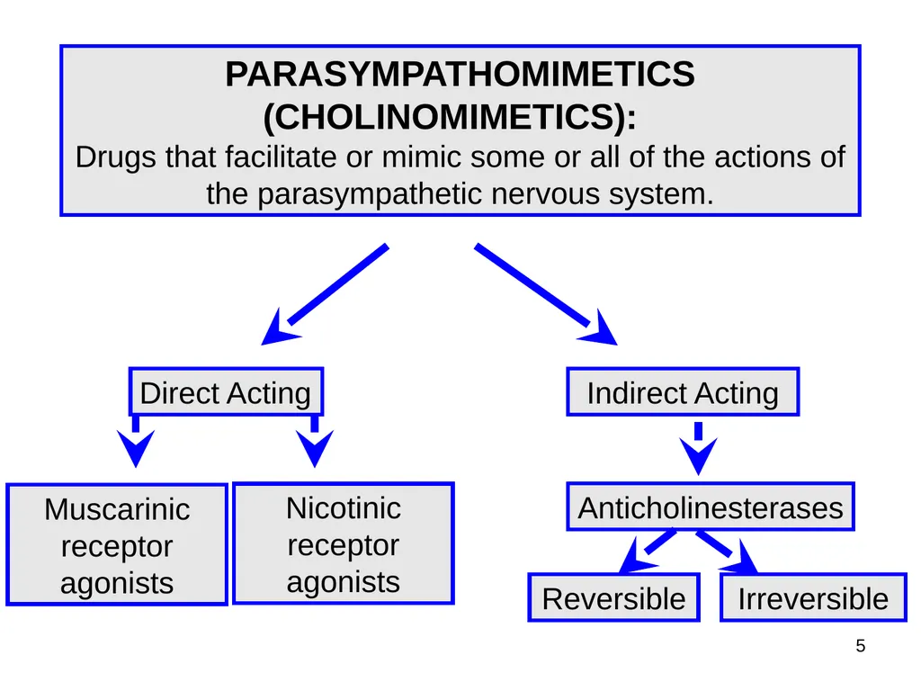 Pharmacology of the Autonomic Nervous System Part - slide 5 of 44
