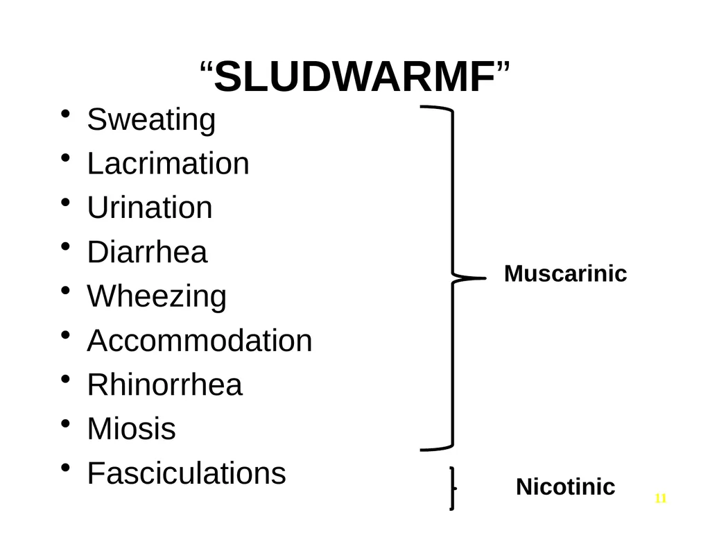 Pharmacology of the Autonomic Nervous System Part - slide 11 of 44