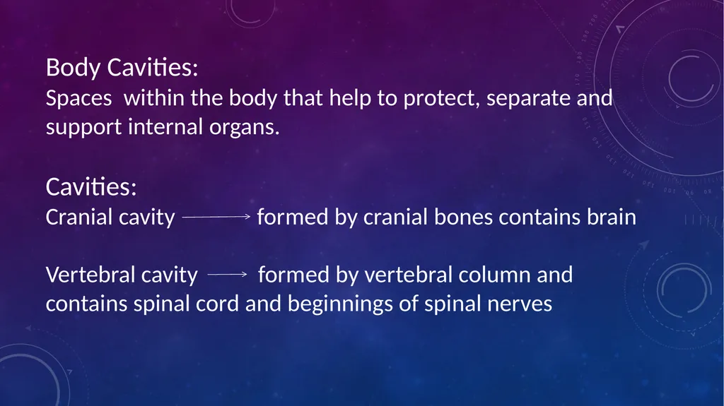 Human anatomy & physiology BY: DR. Stella Selena - slide 15 of 18