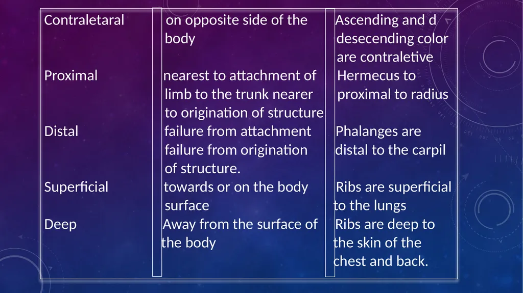 Human anatomy & physiology BY: DR. Stella Selena - slide 14 of 18