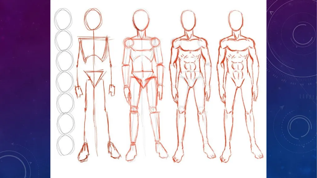 Human anatomy & physiology BY: DR. Stella Selena - slide 8 of 18
