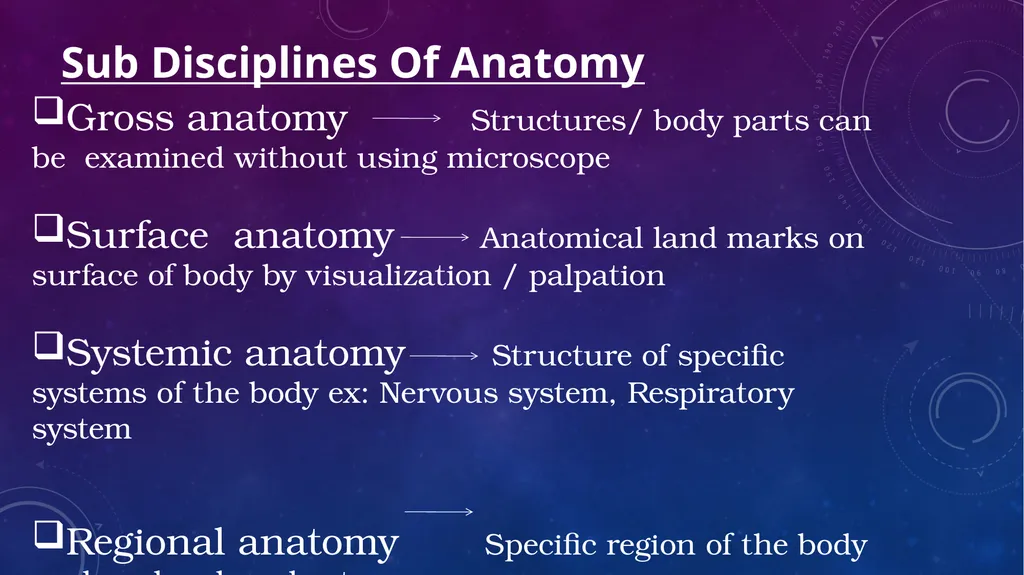 Human anatomy & physiology BY: DR. Stella Selena - slide 3 of 18