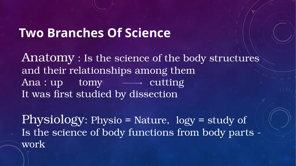Human anatomy & physiology BY: DR. Stella Selena - slide 2 of 18