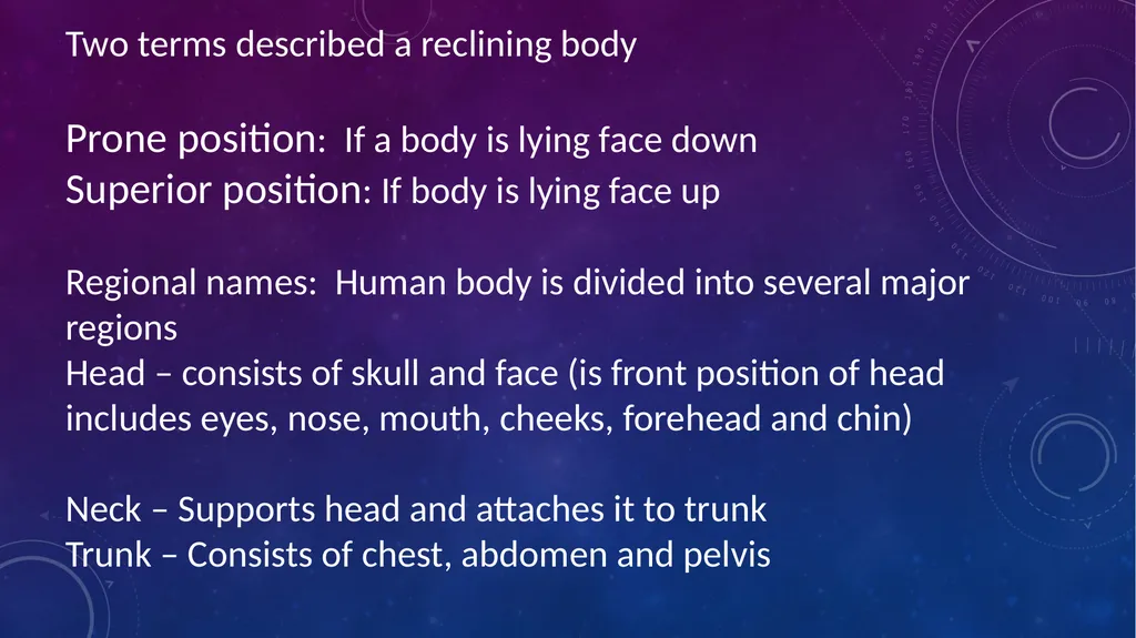 Human anatomy & physiology BY: DR. Stella Selena - slide 10 of 18