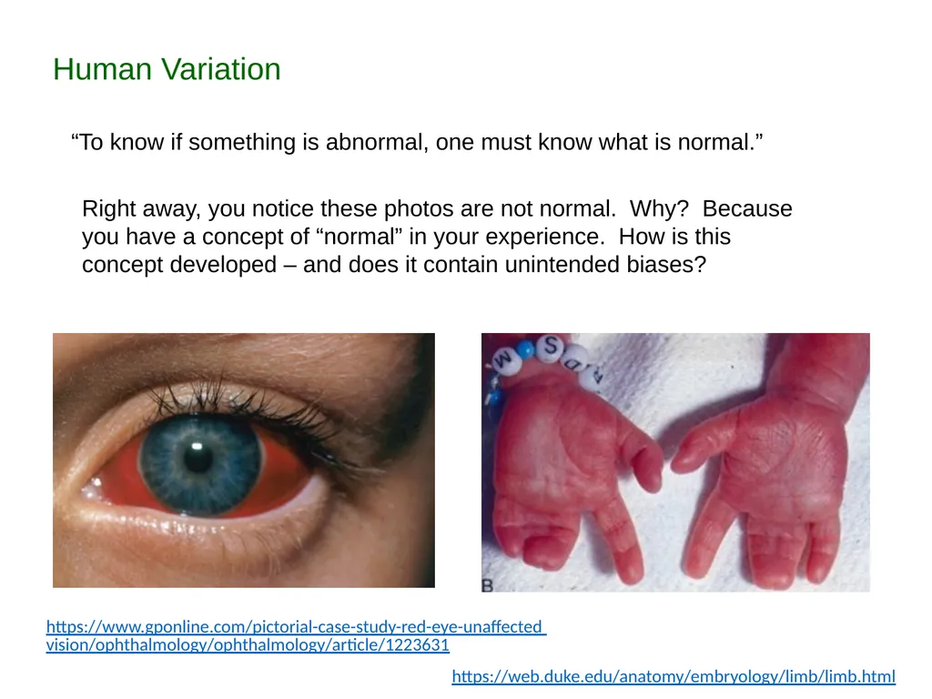 Description: This set of PowerPoint slides - slide 3 of 6