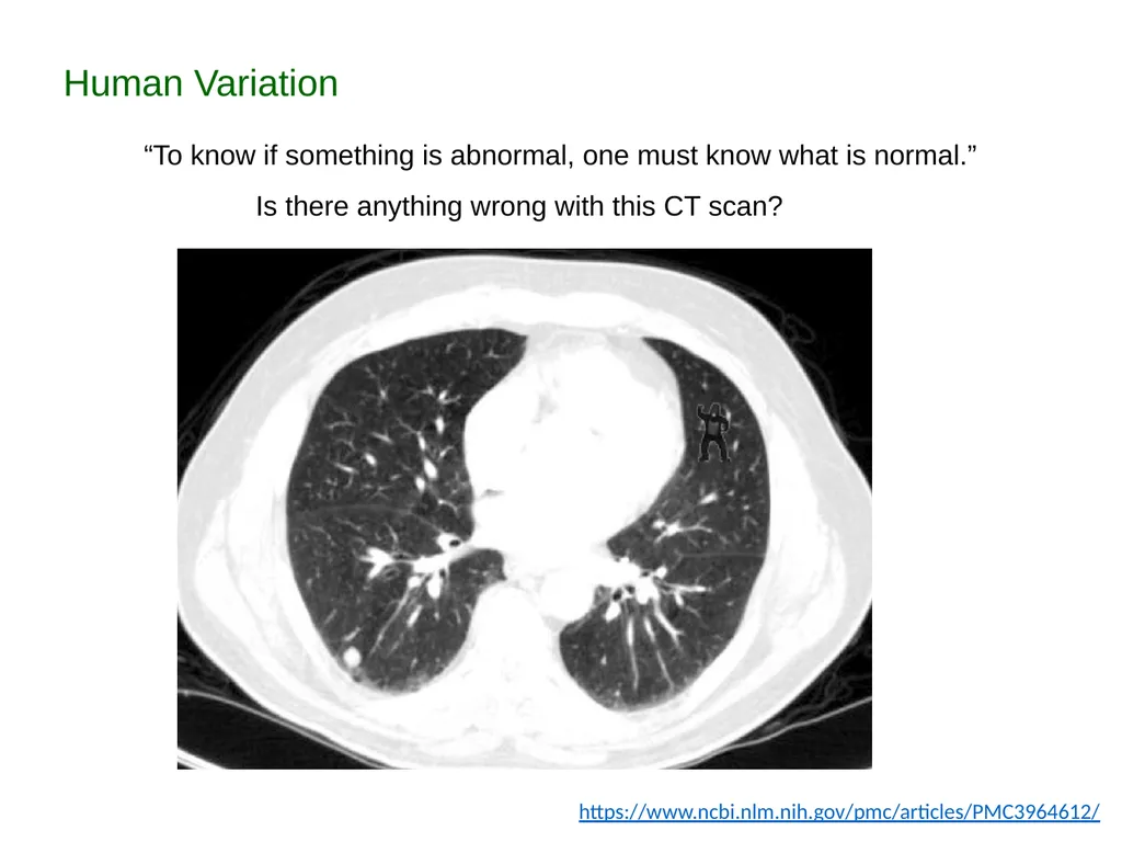 Description: This set of PowerPoint slides - slide 5 of 6
