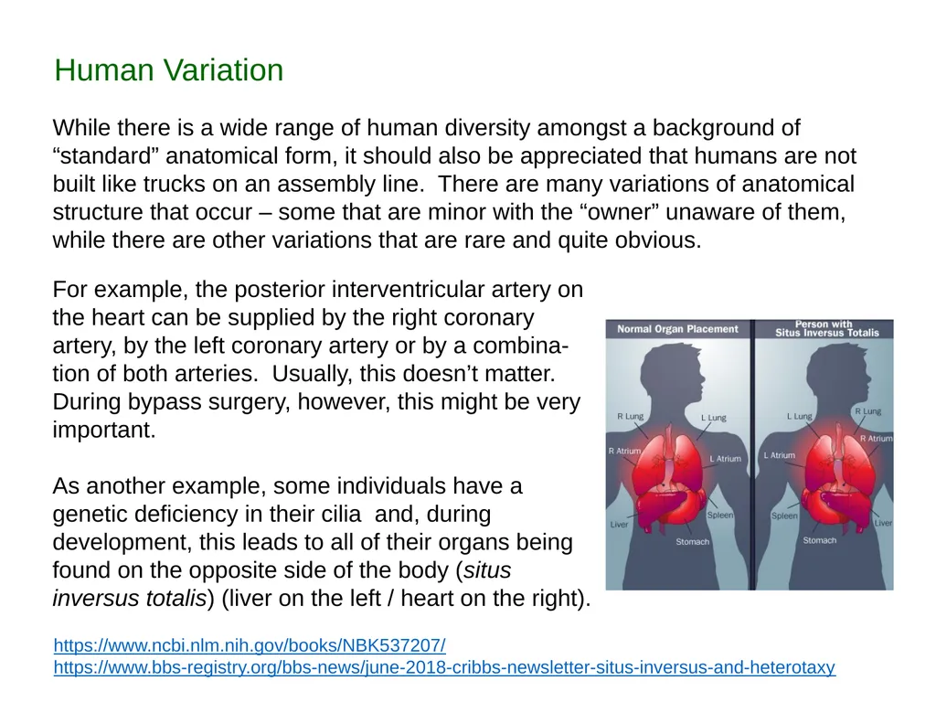 Description: This set of PowerPoint slides - slide 2 of 6