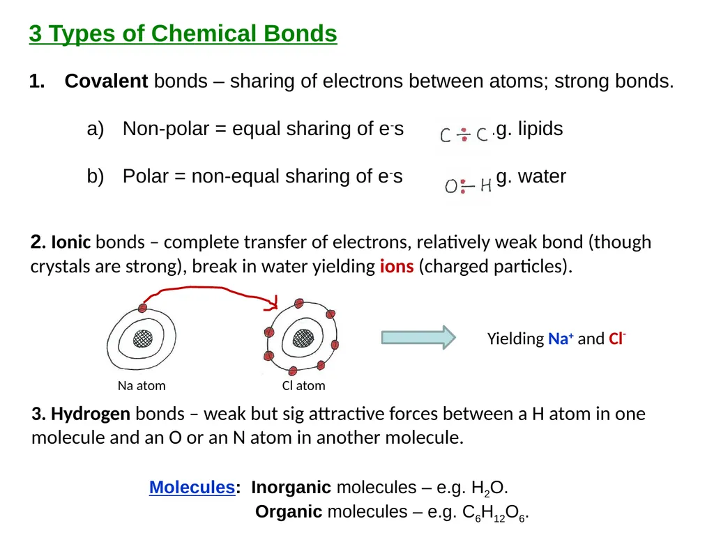 Human Physiology Left Right Analytical Logical - slide 12 of 18