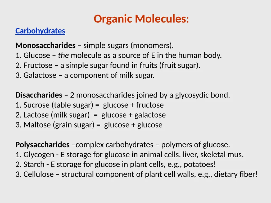 Human Physiology Left Right Analytical Logical - slide 14 of 18