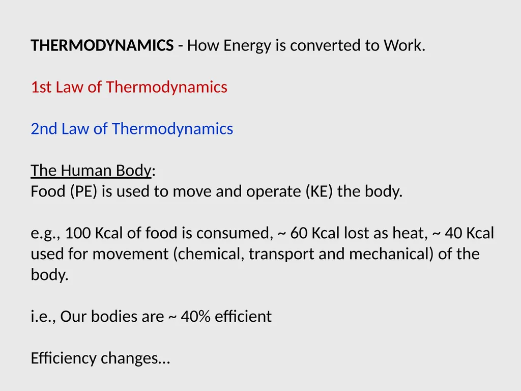 Human Physiology Left Right Analytical Logical - slide 16 of 18