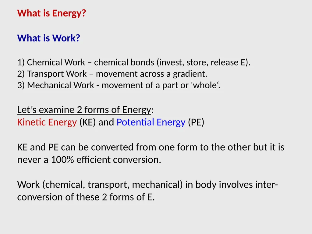 Human Physiology Left Right Analytical Logical - slide 17 of 18