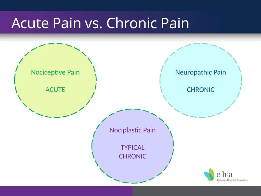 The Anatomy and Physiology of Pain CO’s CURE - slide 14 of 30