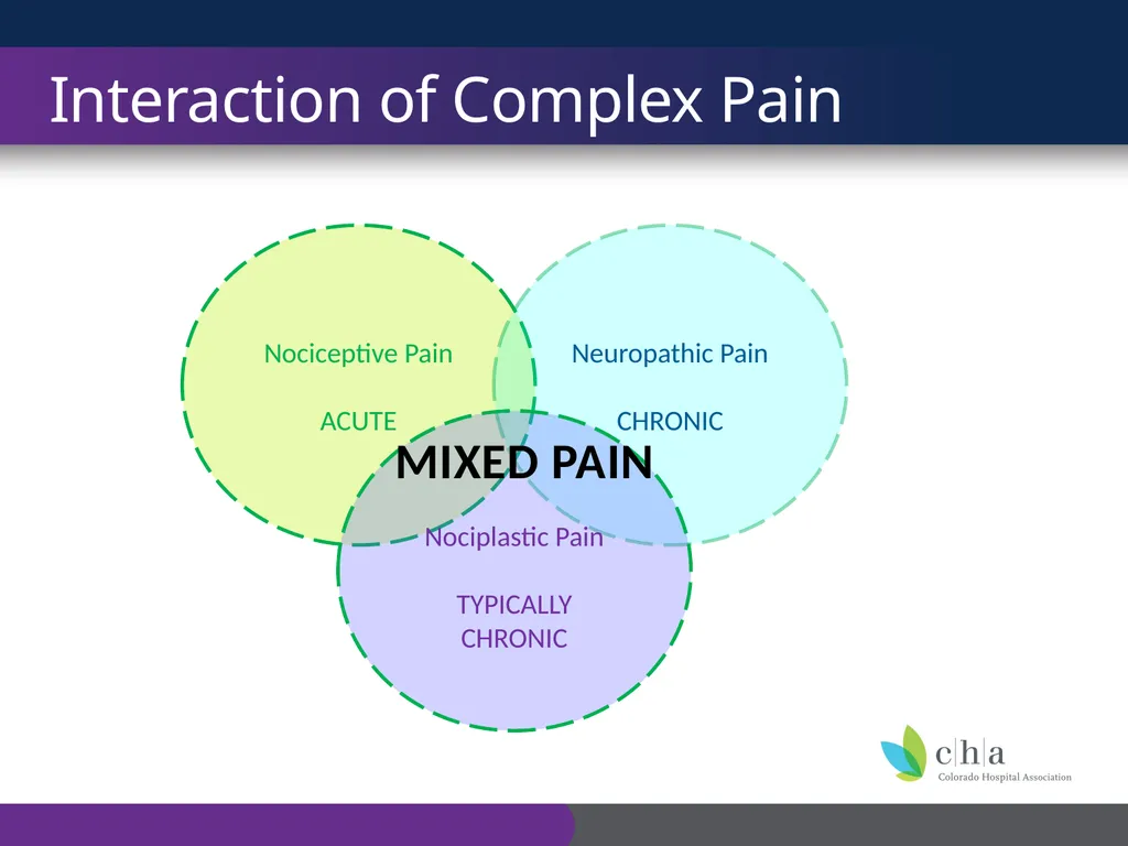 The Anatomy and Physiology of Pain CO’s CURE - slide 21 of 30