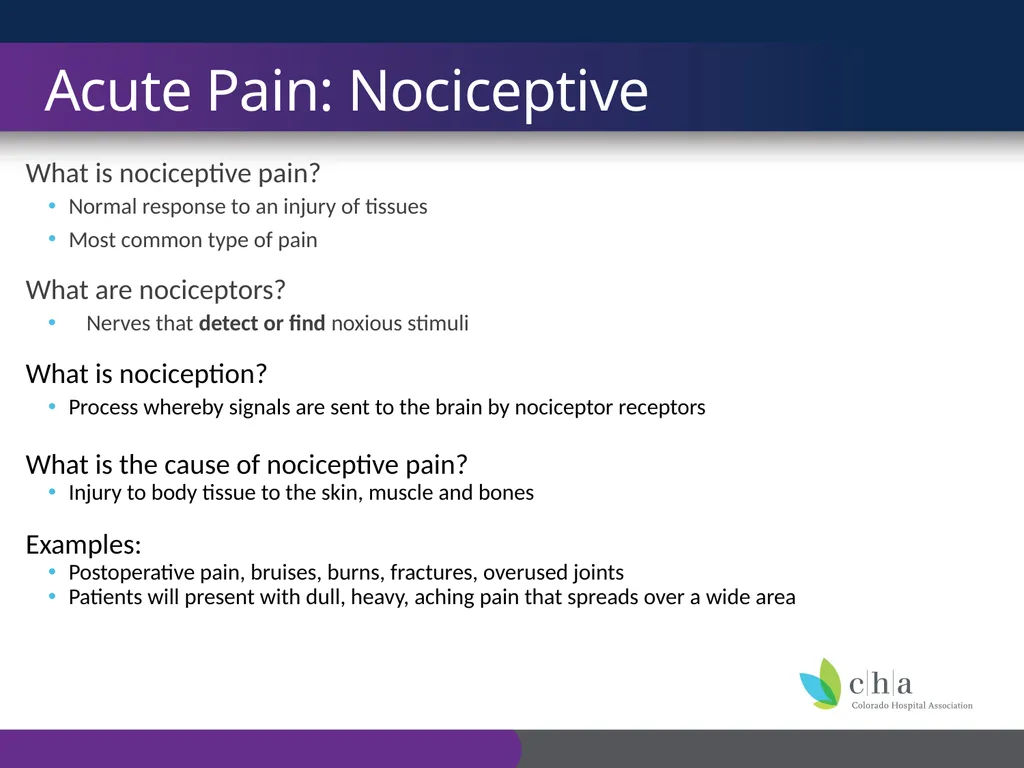 The Anatomy and Physiology of Pain CO’s CURE - slide 15 of 30
