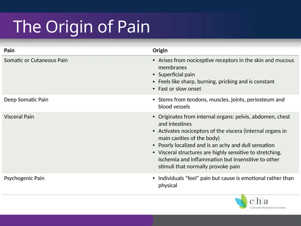 The Anatomy and Physiology of Pain CO’s CURE - slide 6 of 30