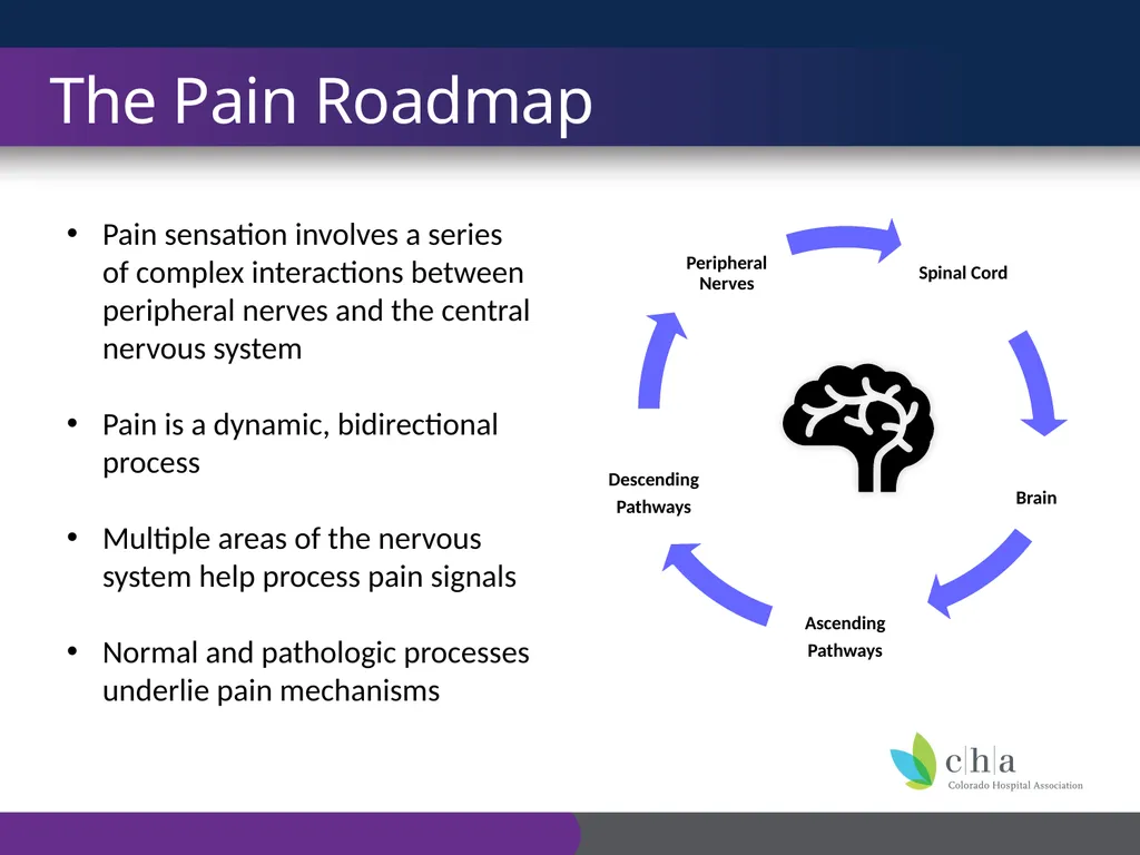 The Anatomy and Physiology of Pain CO’s CURE - slide 5 of 30