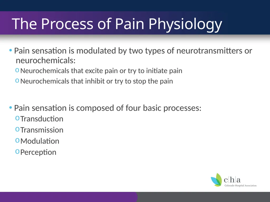 The Anatomy and Physiology of Pain CO’s CURE - slide 7 of 30