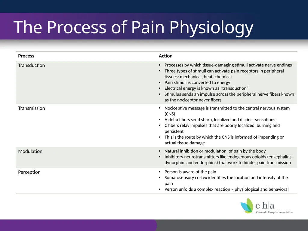 The Anatomy and Physiology of Pain CO’s CURE - slide 8 of 30