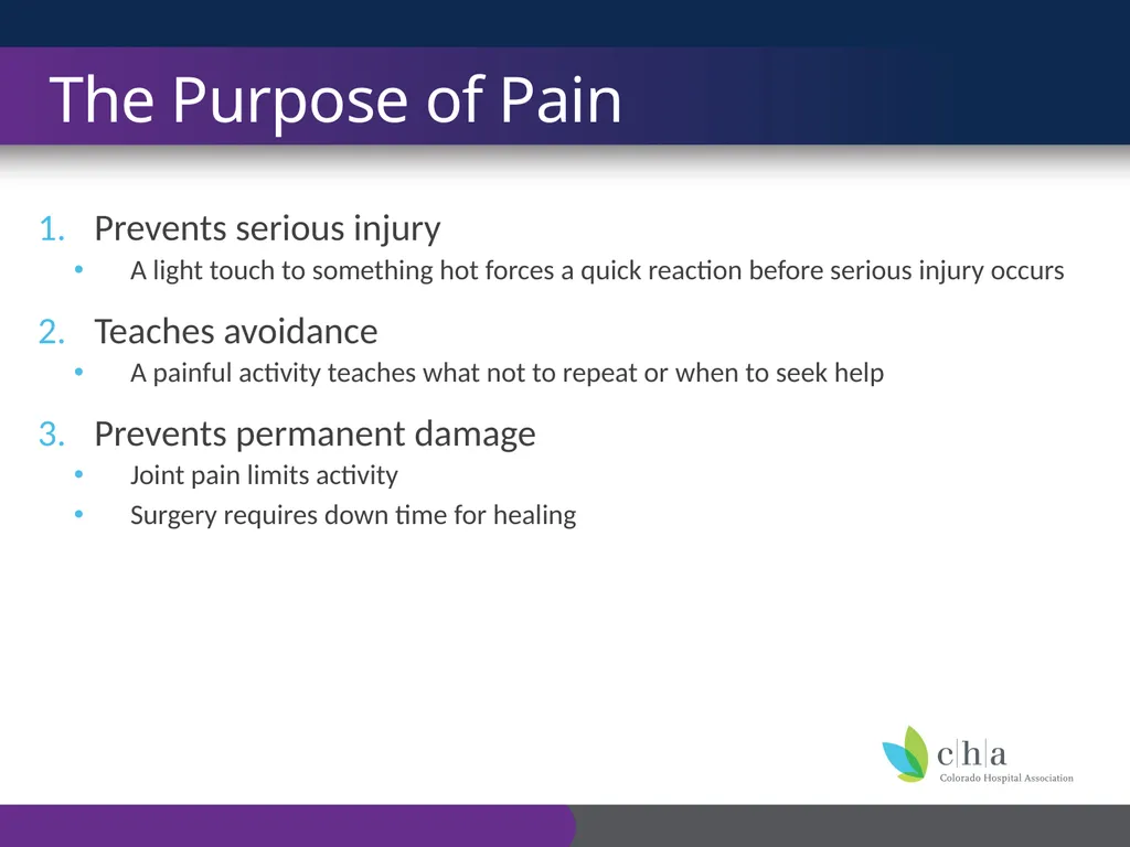 The Anatomy and Physiology of Pain CO’s CURE - slide 4 of 30
