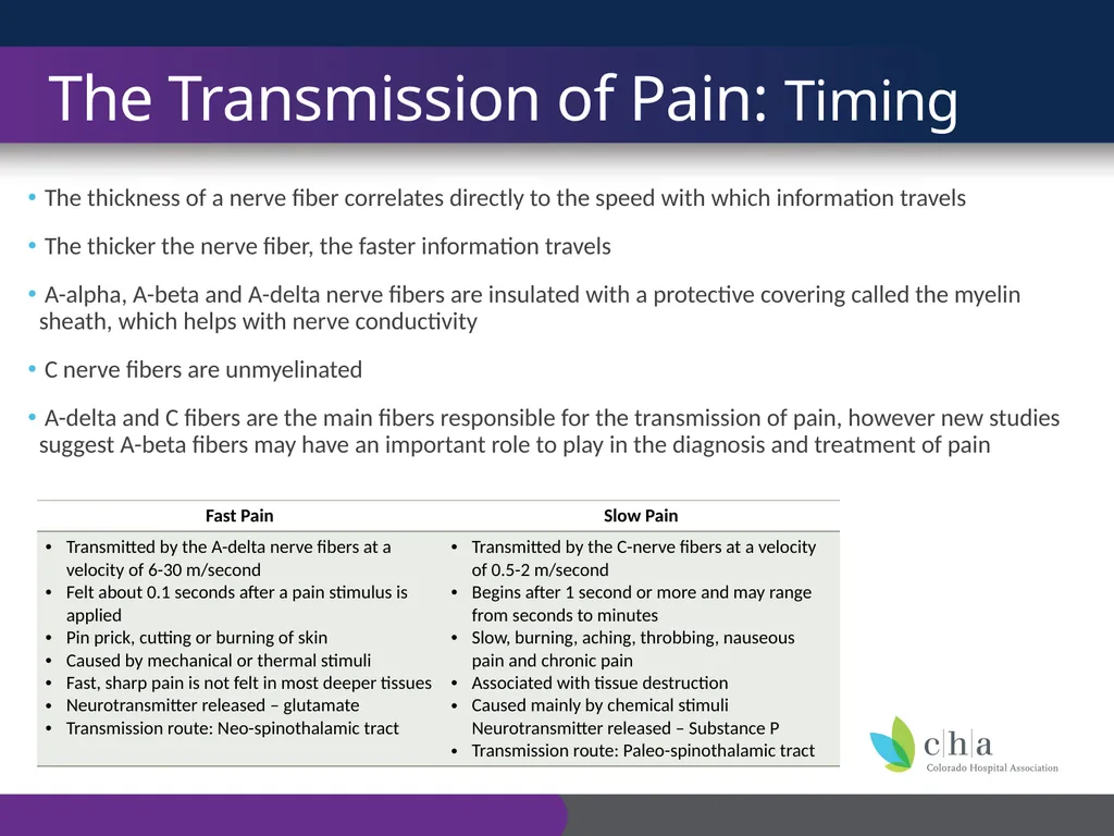 The Anatomy and Physiology of Pain CO’s CURE - slide 10 of 30