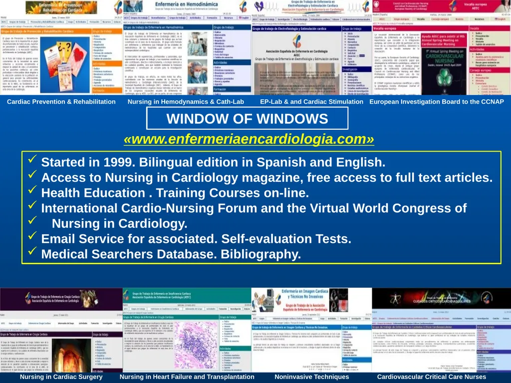 SPANISH ASSOCIATION OF NURSES IN CARDIOLOGY (SANC) - slide 11 of 19