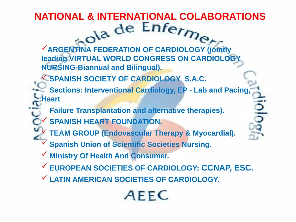 SPANISH ASSOCIATION OF NURSES IN CARDIOLOGY (SANC) - slide 17 of 19