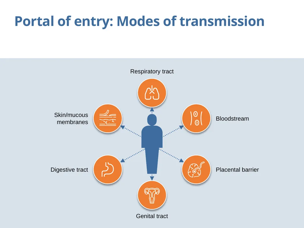 Chain of transmission Objectives Review basic - slide 36 of 43