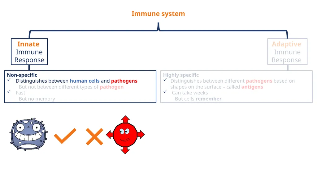 Follow us @britsocimm @[your_handle] - slide 6 of 38
