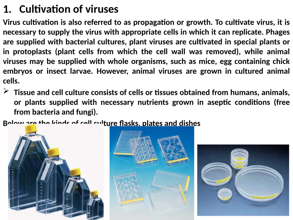 Lecture Three Methods in virology Methods used in - slide 2 of 15