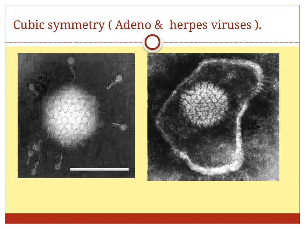 DR. Mohammed Arif Associate professor Consultant - slide 19 of 38
