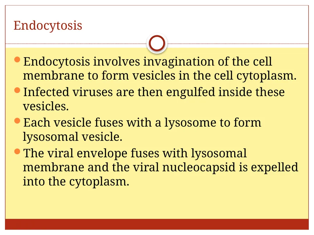DR. Mohammed Arif Associate professor Consultant - slide 34 of 38