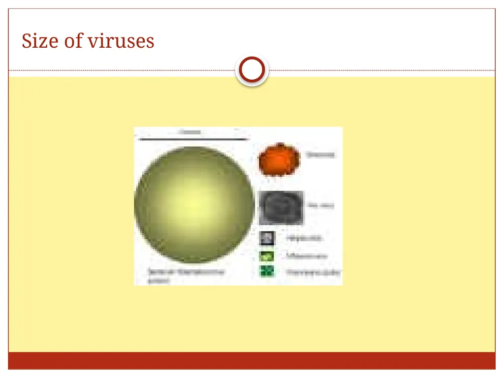 DR. Mohammed Arif Associate professor Consultant - slide 6 of 38