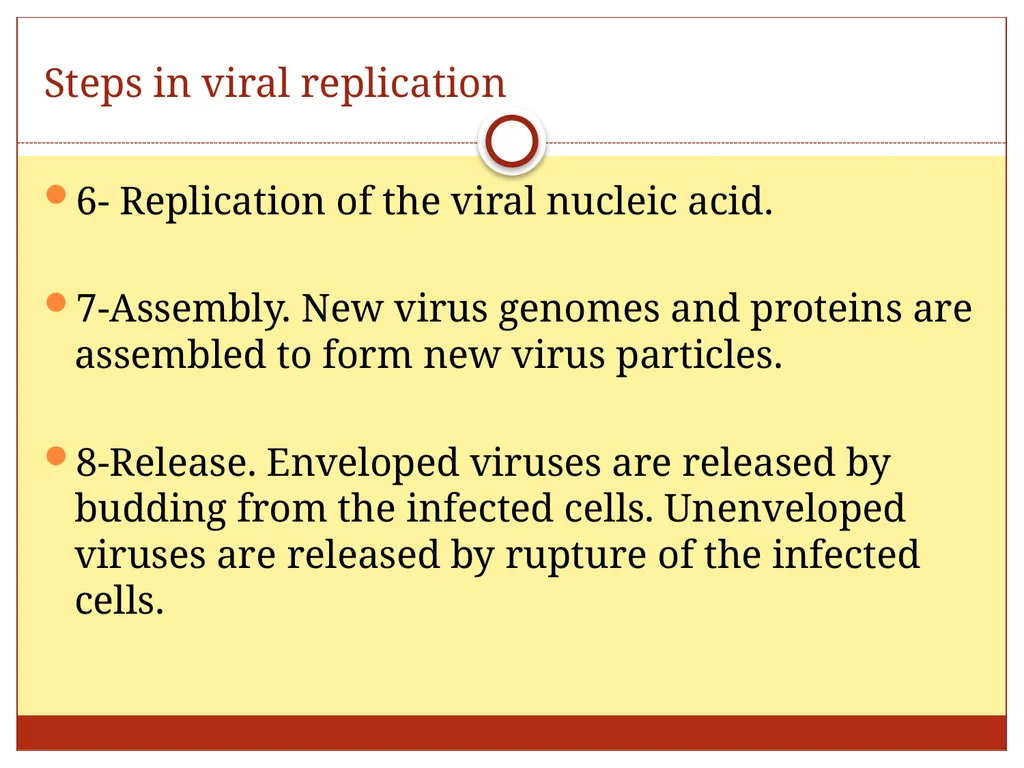 DR. Mohammed Arif Associate professor Consultant - slide 37 of 38