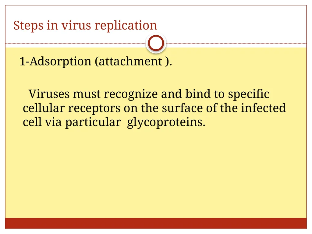 DR. Mohammed Arif Associate professor Consultant - slide 30 of 38