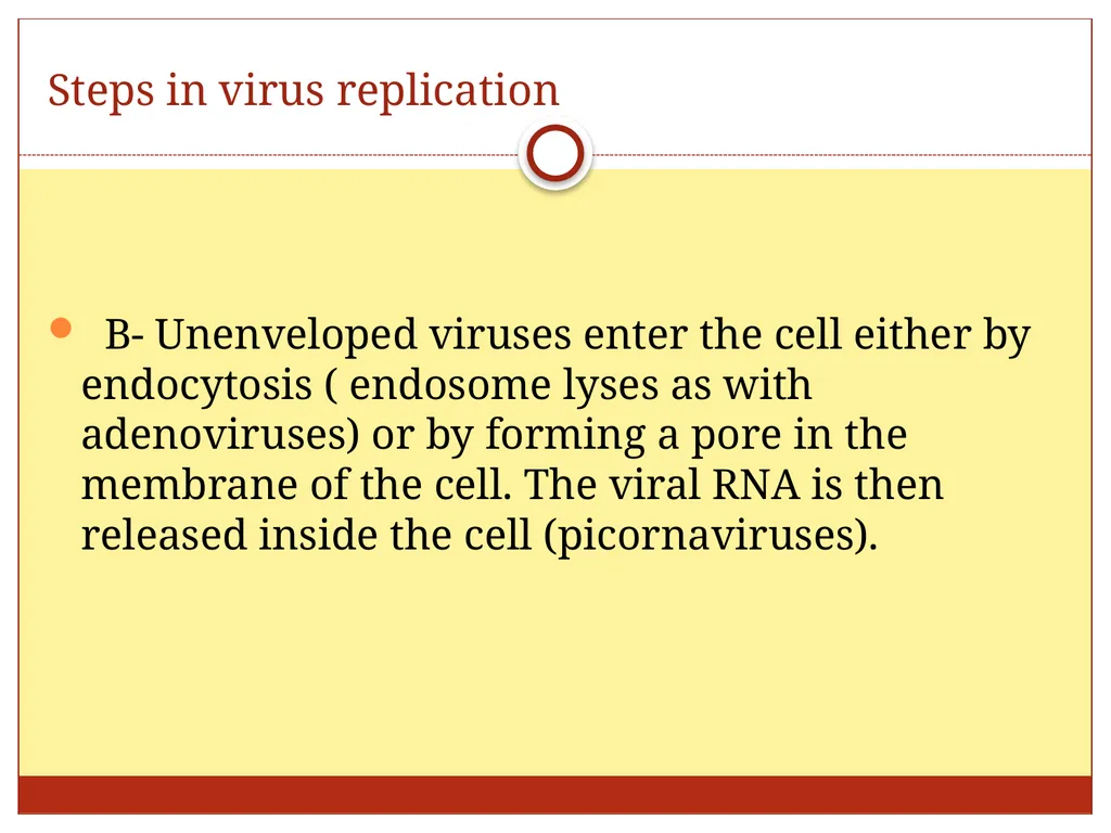 DR. Mohammed Arif Associate professor Consultant - slide 33 of 38