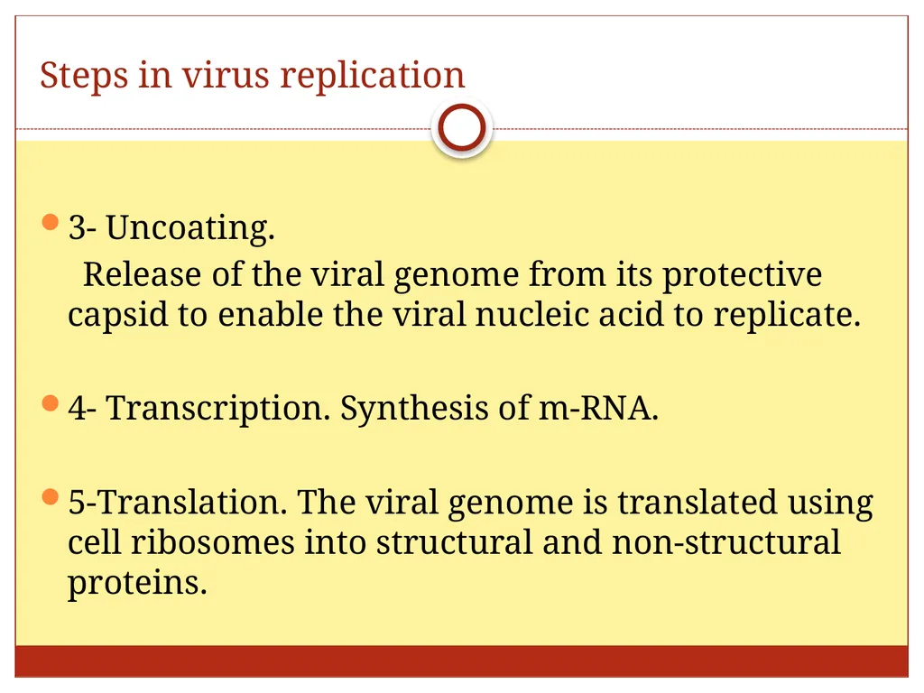 DR. Mohammed Arif Associate professor Consultant - slide 36 of 38