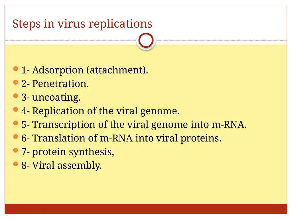 DR. Mohammed Arif Associate professor Consultant - slide 29 of 38