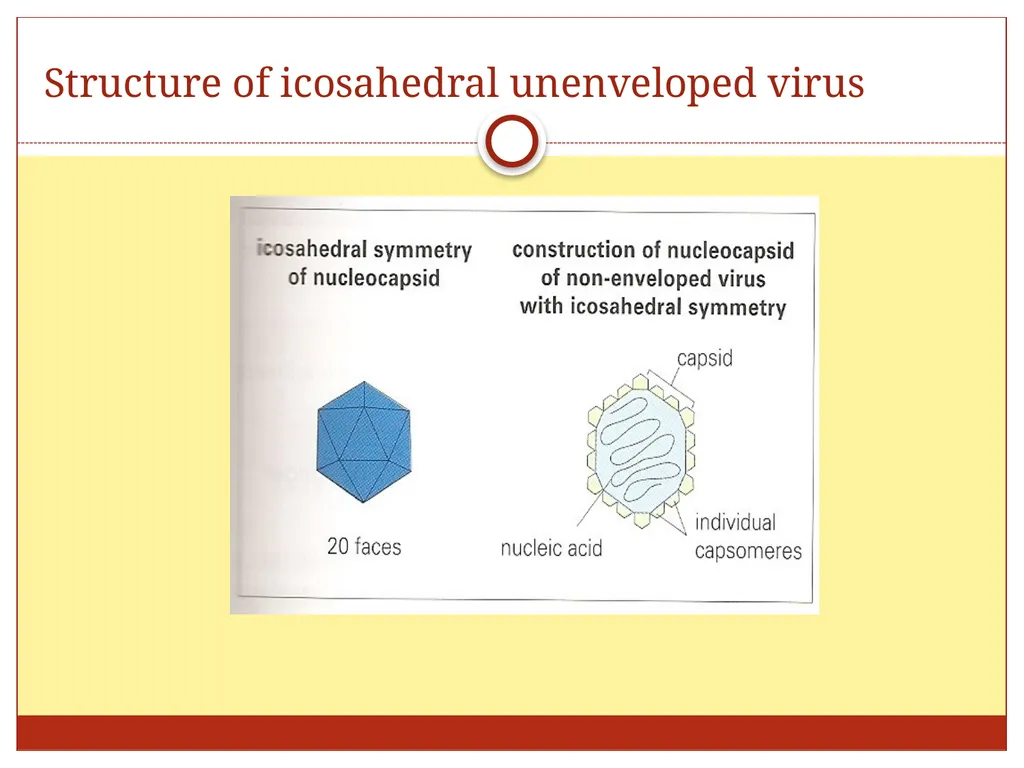 DR. Mohammed Arif Associate professor Consultant - slide 10 of 38