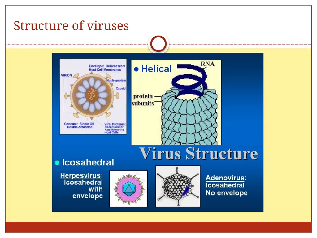 DR. Mohammed Arif Associate professor Consultant - slide 12 of 38