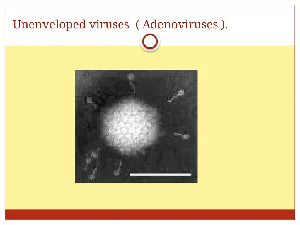 DR. Mohammed Arif Associate professor Consultant - slide 14 of 38