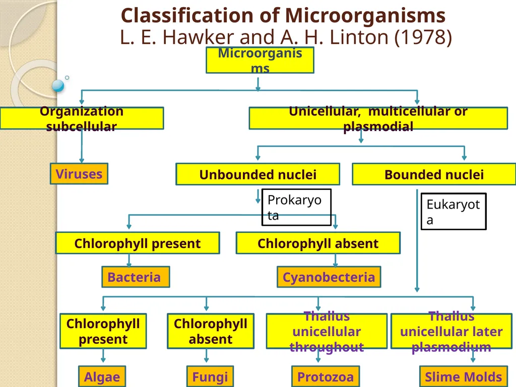 MICROBIOLOGY Introduction: Micro = small, bio = - slide 5 of 11