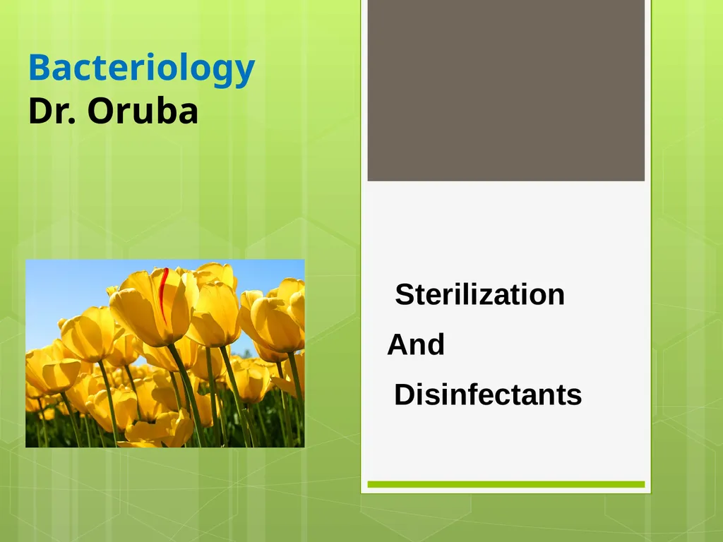 Bacteriology Dr. Oruba Sterilization And - slide 1 of 29