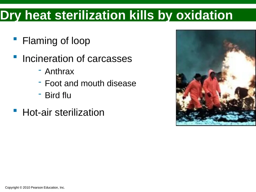 Bacteriology Dr. Oruba Sterilization And - slide 10 of 29