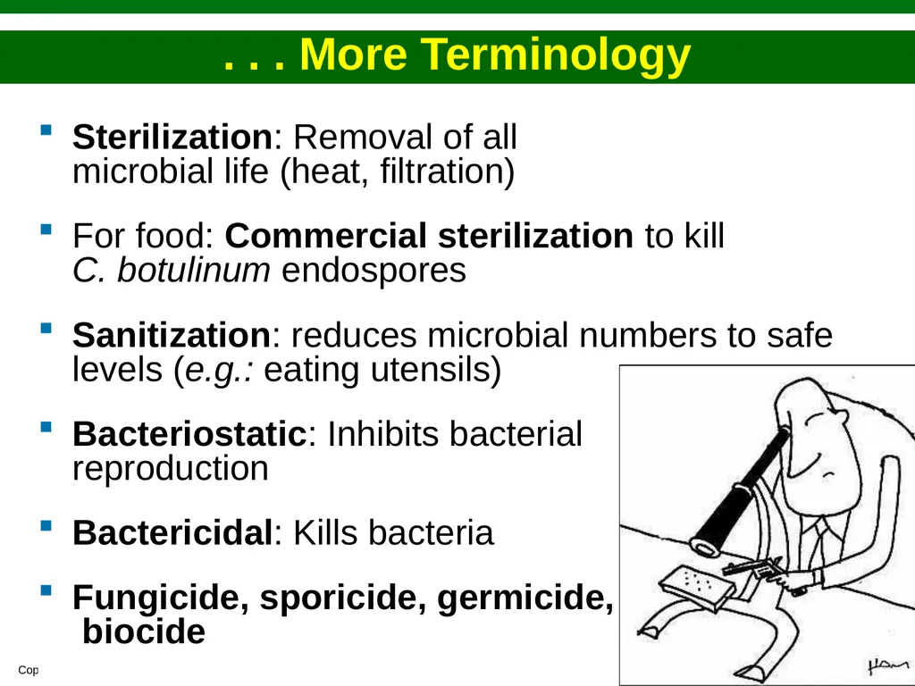 Bacteriology Dr. Oruba Sterilization And - slide 4 of 29