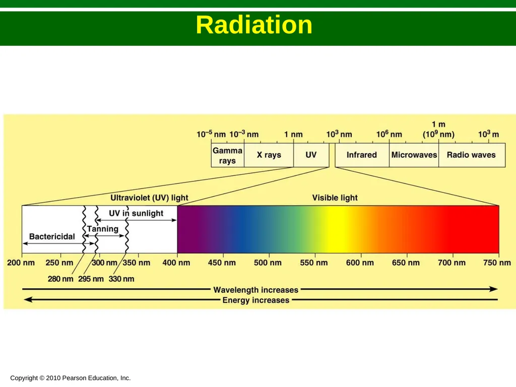 Bacteriology Dr. Oruba Sterilization And - slide 18 of 29