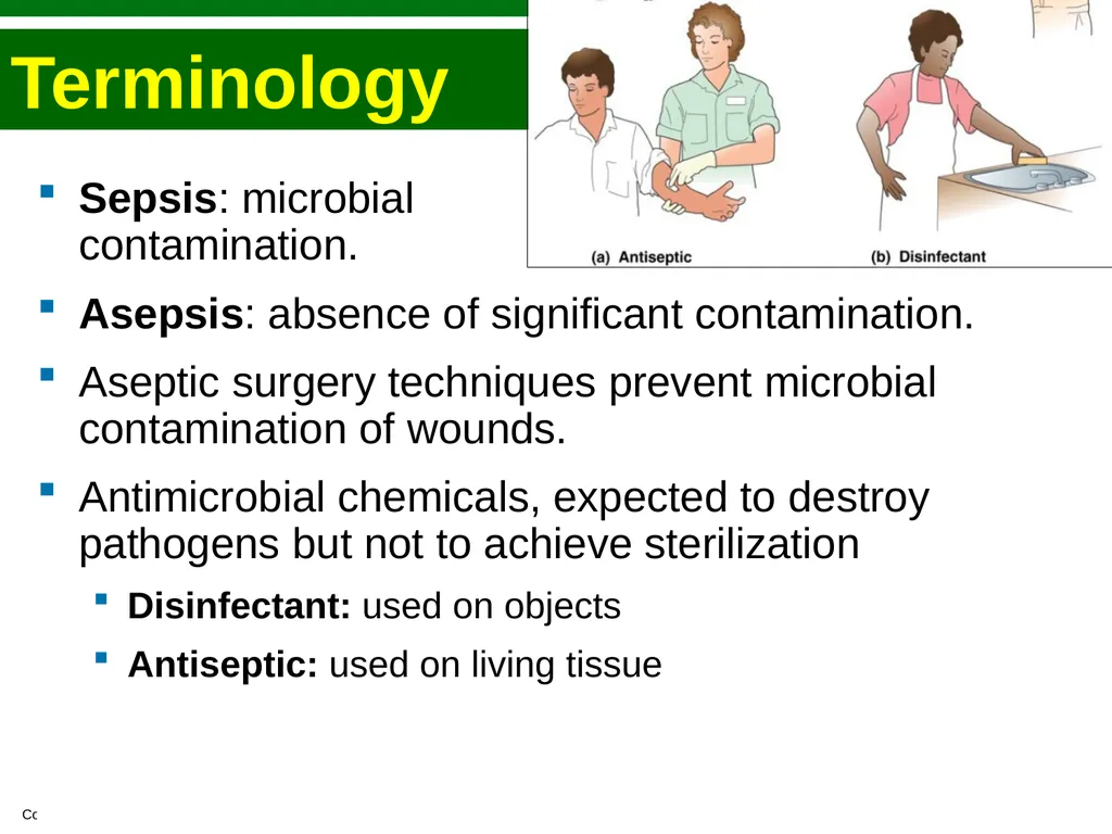 Bacteriology Dr. Oruba Sterilization And - slide 3 of 29