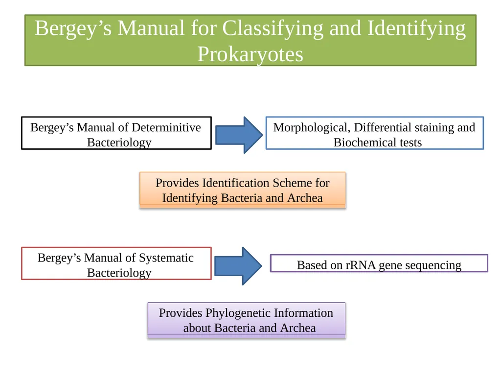 Bacterial Taxonomy Dr. Namita Ashish Singh - slide 22 of 41