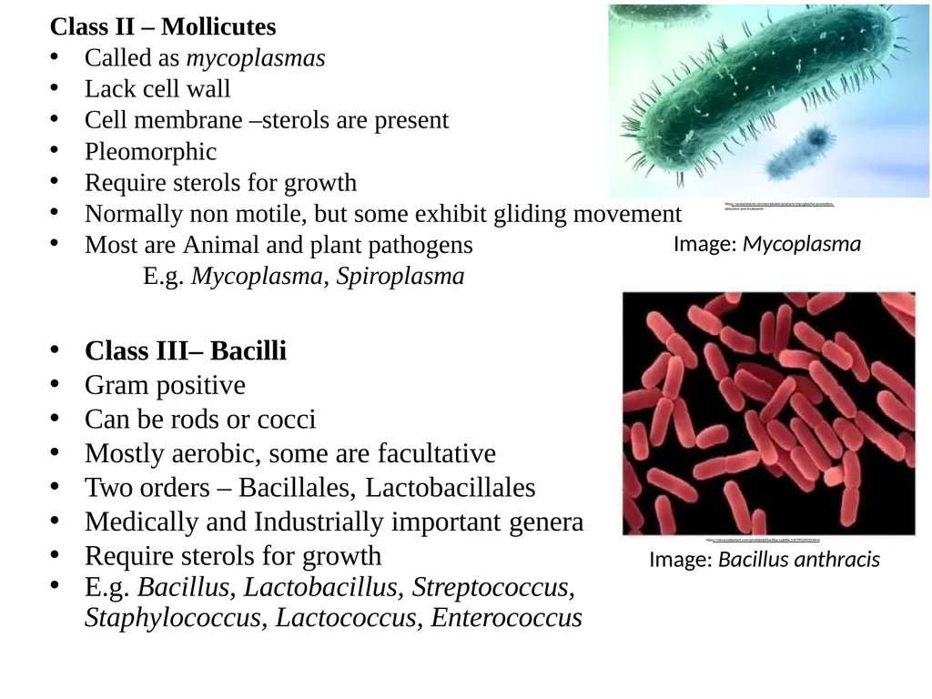 Bacterial Taxonomy Dr. Namita Ashish Singh - slide 36 of 41