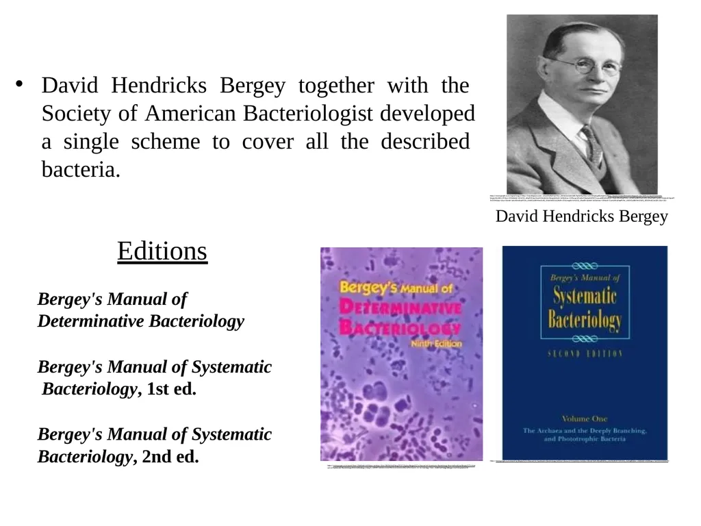 Bacterial Taxonomy Dr. Namita Ashish Singh - slide 21 of 41
