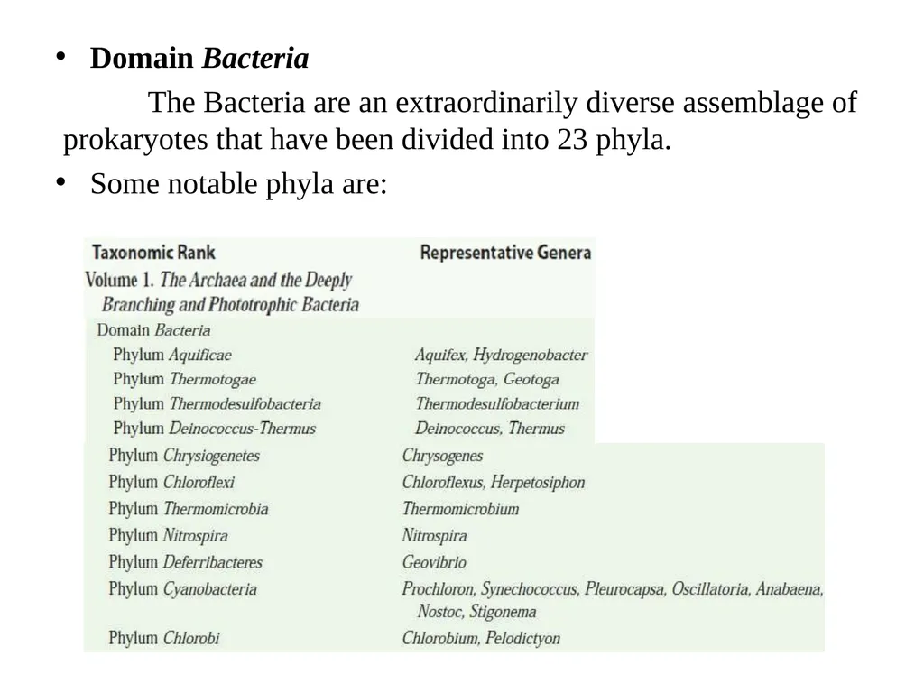 Bacterial Taxonomy Dr. Namita Ashish Singh - slide 27 of 41